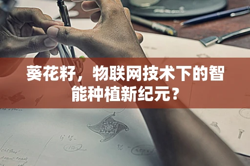 葵花籽，物联网技术下的智能种植新纪元？