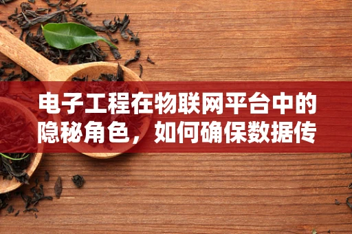 电子工程在物联网平台中的隐秘角色，如何确保数据传输的稳定与安全？