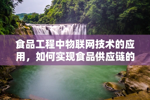 食品工程中物联网技术的应用，如何实现食品供应链的透明化与安全？