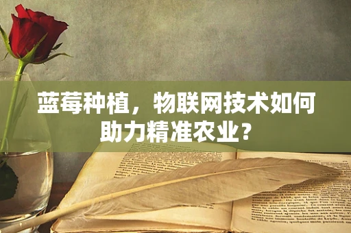 蓝莓种植，物联网技术如何助力精准农业？
