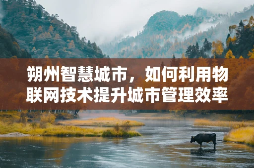 朔州智慧城市，如何利用物联网技术提升城市管理效率？
