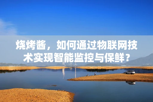 烧烤酱，如何通过物联网技术实现智能监控与保鲜？