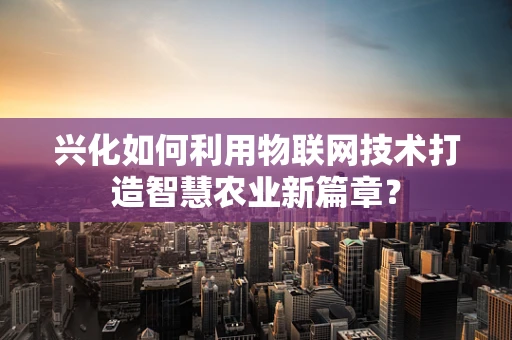 兴化如何利用物联网技术打造智慧农业新篇章？
