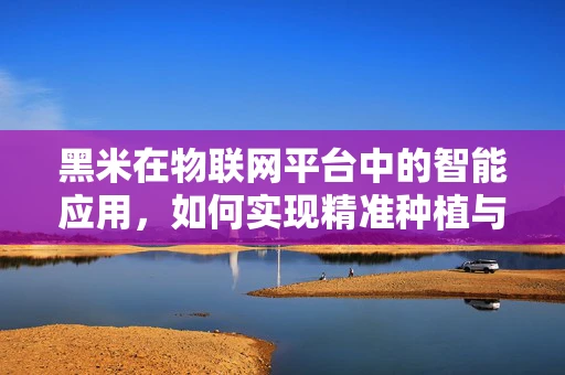 黑米在物联网平台中的智能应用，如何实现精准种植与追踪？