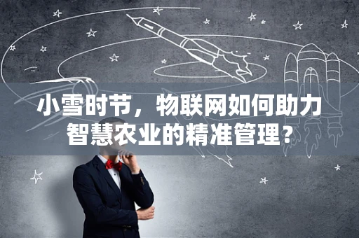 小雪时节，物联网如何助力智慧农业的精准管理？