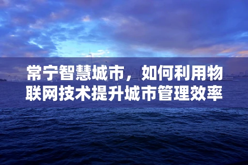 常宁智慧城市，如何利用物联网技术提升城市管理效率？
