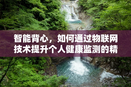 智能背心，如何通过物联网技术提升个人健康监测的精准度？