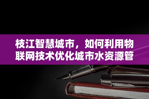 枝江智慧城市，如何利用物联网技术优化城市水资源管理？