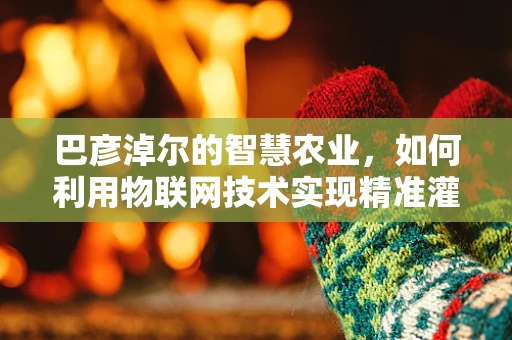 巴彦淖尔的智慧农业，如何利用物联网技术实现精准灌溉？