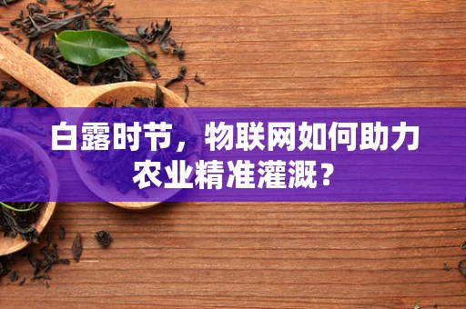 白露时节，物联网如何助力农业精准灌溉？