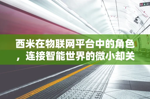 西米在物联网平台中的角色，连接智能世界的微小却关键的纽带？