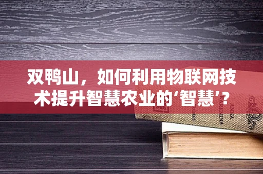 双鸭山，如何利用物联网技术提升智慧农业的‘智慧’？