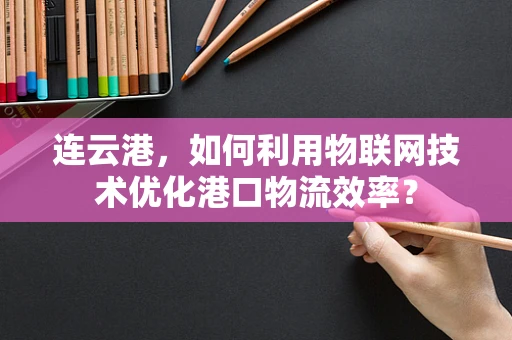 连云港，如何利用物联网技术优化港口物流效率？