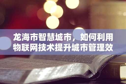 龙海市智慧城市，如何利用物联网技术提升城市管理效率？