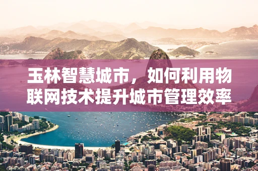 玉林智慧城市，如何利用物联网技术提升城市管理效率？