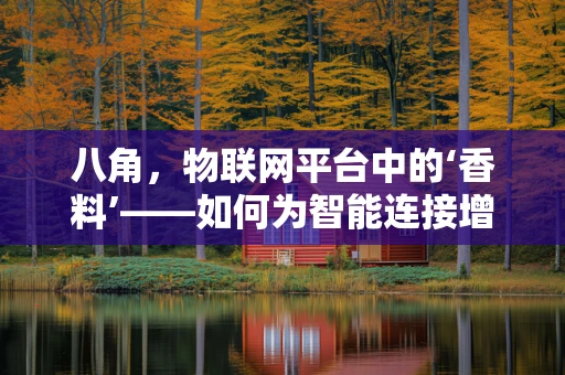 八角，物联网平台中的‘香料’——如何为智能连接增添独特风味？