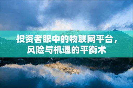 投资者眼中的物联网平台，风险与机遇的平衡术