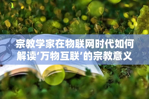 宗教学家在物联网时代如何解读‘万物互联’的宗教意义？
