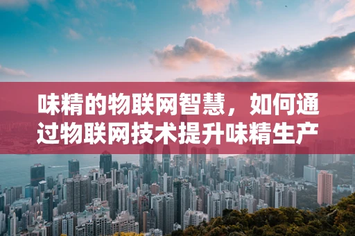 味精的物联网智慧，如何通过物联网技术提升味精生产与管理的智能化？