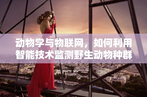 动物学与物联网，如何利用智能技术监测野生动物种群？