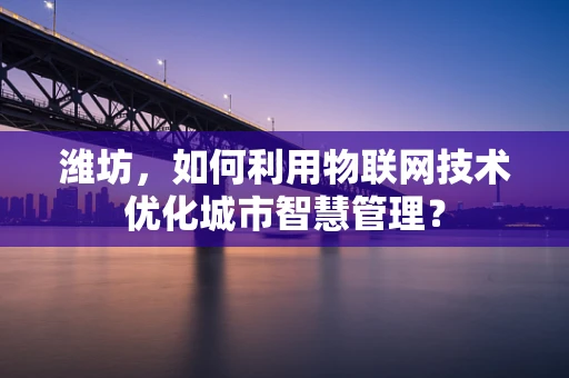 潍坊，如何利用物联网技术优化城市智慧管理？