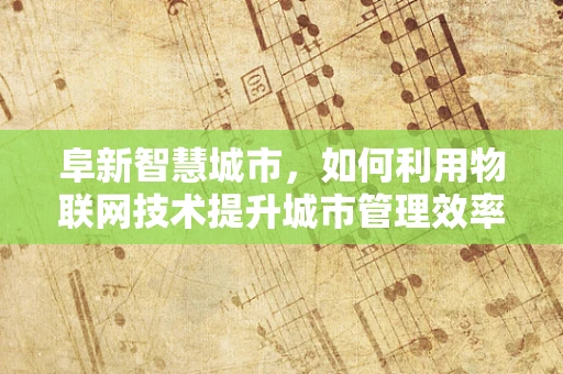 阜新智慧城市，如何利用物联网技术提升城市管理效率？