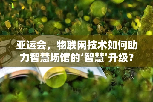 亚运会，物联网技术如何助力智慧场馆的‘智慧’升级？