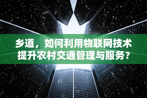 乡道，如何利用物联网技术提升农村交通管理与服务？