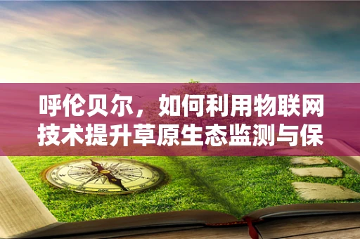 呼伦贝尔，如何利用物联网技术提升草原生态监测与保护？