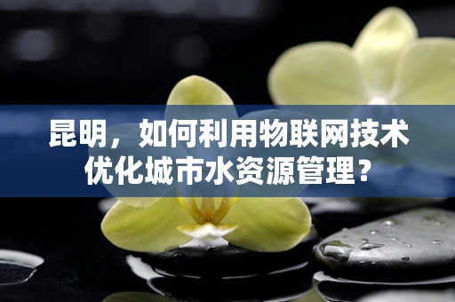 昆明，如何利用物联网技术优化城市水资源管理？