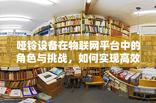哑铃设备在物联网平台中的角色与挑战，如何实现高效连接与数据管理？
