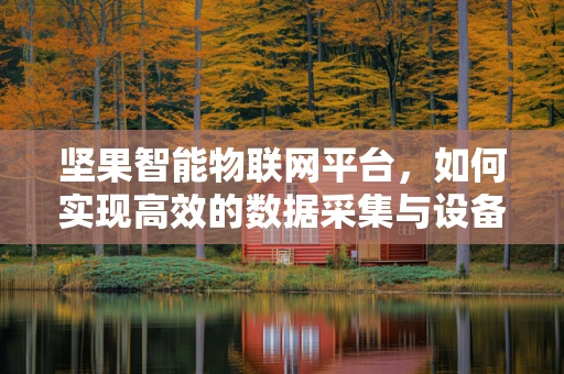 坚果智能物联网平台，如何实现高效的数据采集与设备管理？