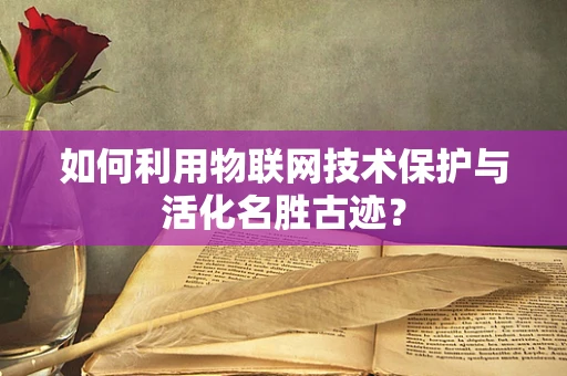 如何利用物联网技术保护与活化名胜古迹？