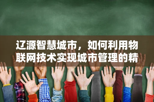 辽源智慧城市，如何利用物联网技术实现城市管理的精细化与智能化？