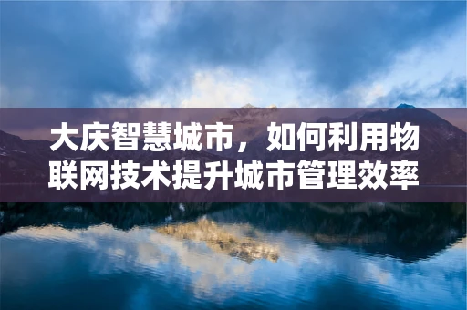 大庆智慧城市，如何利用物联网技术提升城市管理效率？