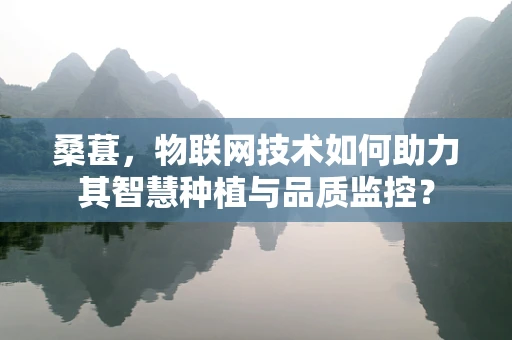 桑葚，物联网技术如何助力其智慧种植与品质监控？