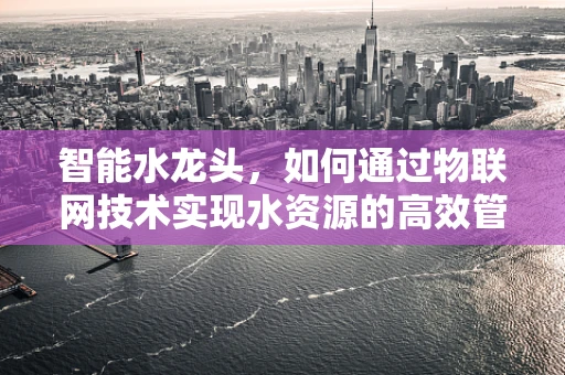 智能水龙头，如何通过物联网技术实现水资源的高效管理？