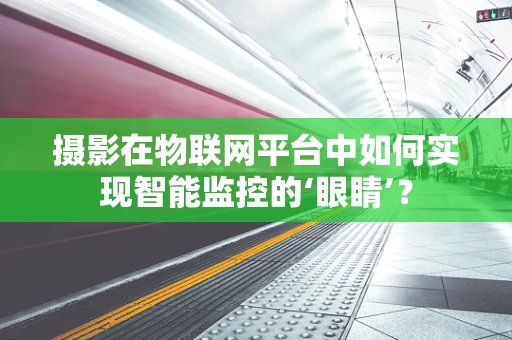 摄影在物联网平台中如何实现智能监控的‘眼睛’？