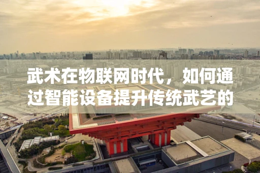 武术在物联网时代，如何通过智能设备提升传统武艺的传承与训练？