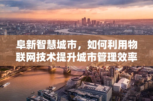 阜新智慧城市，如何利用物联网技术提升城市管理效率？