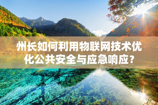 州长如何利用物联网技术优化公共安全与应急响应？