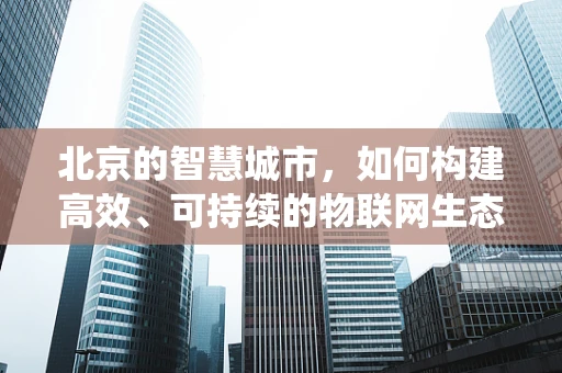 北京的智慧城市，如何构建高效、可持续的物联网生态系统？