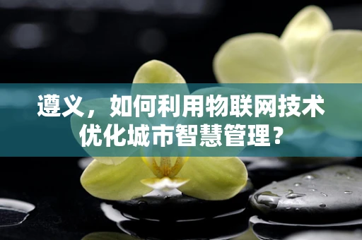 遵义，如何利用物联网技术优化城市智慧管理？