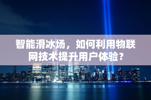智能滑冰场，如何利用物联网技术提升用户体验？