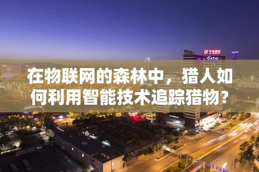 在物联网的森林中，猎人如何利用智能技术追踪猎物？