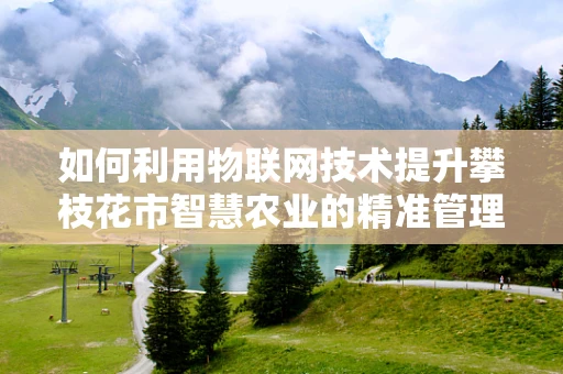 如何利用物联网技术提升攀枝花市智慧农业的精准管理水平？