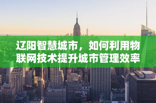 辽阳智慧城市，如何利用物联网技术提升城市管理效率？