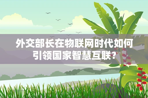 外交部长在物联网时代如何引领国家智慧互联？