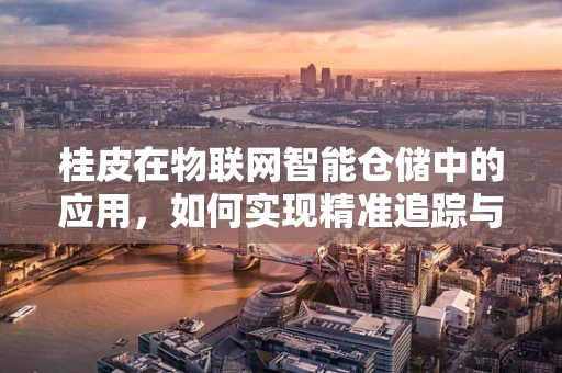 桂皮在物联网智能仓储中的应用，如何实现精准追踪与智能管理？