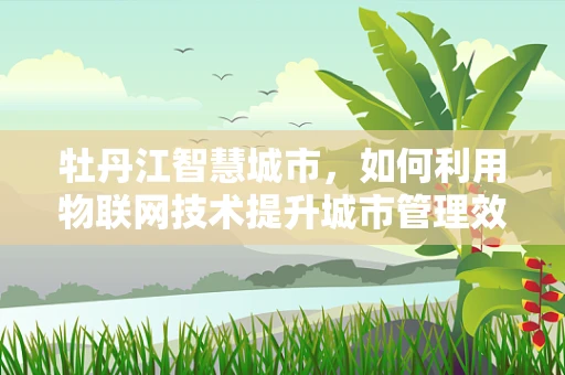 牡丹江智慧城市，如何利用物联网技术提升城市管理效率？